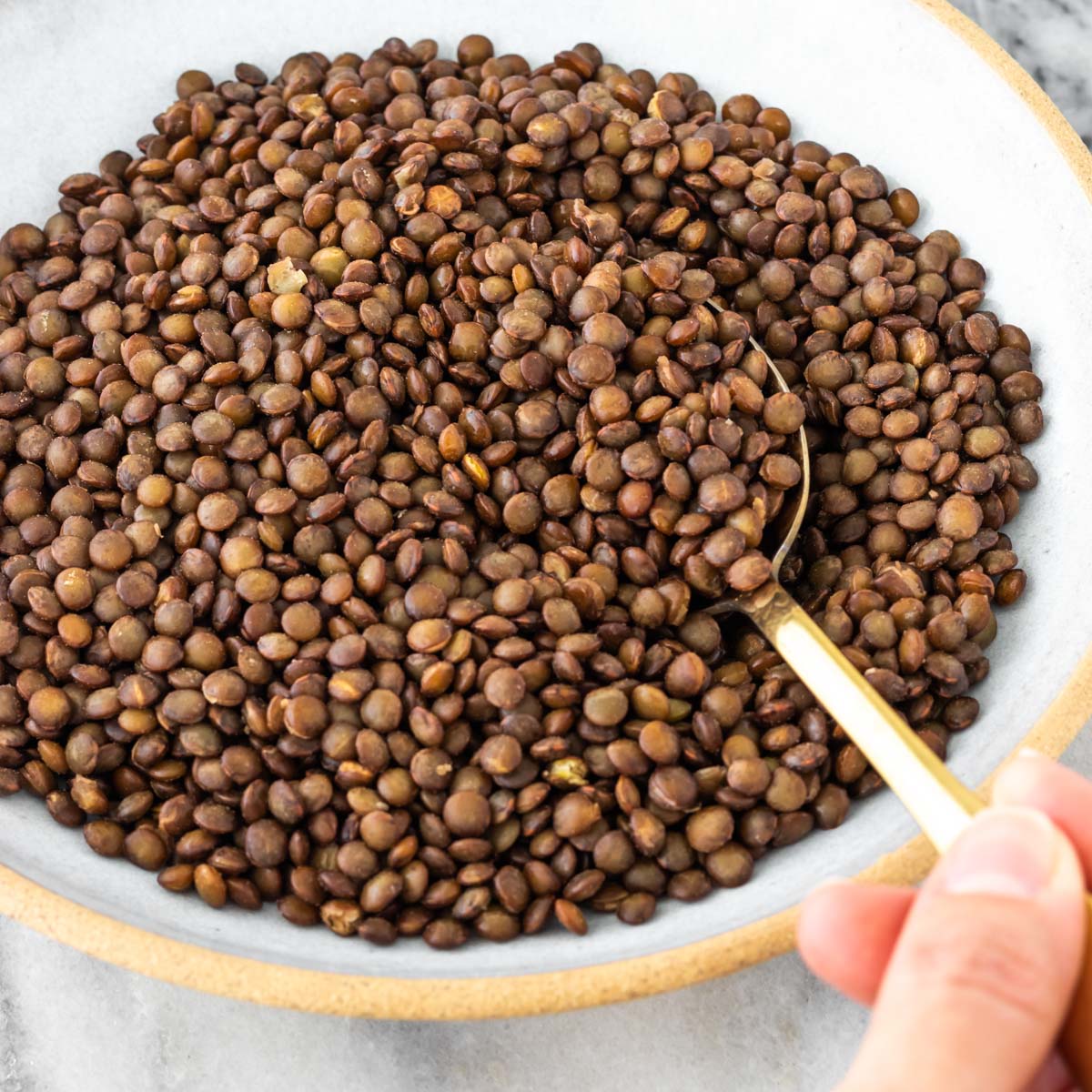 Lentilha Cozida no Vapor