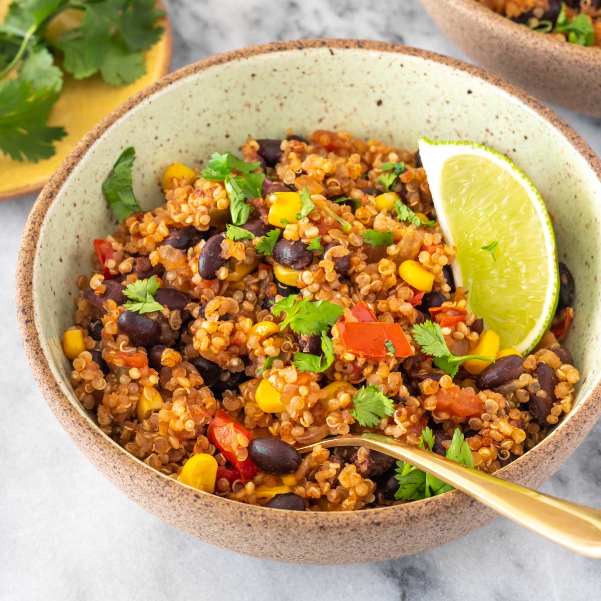 Mexido de Quinoa Mexicano com Feijão