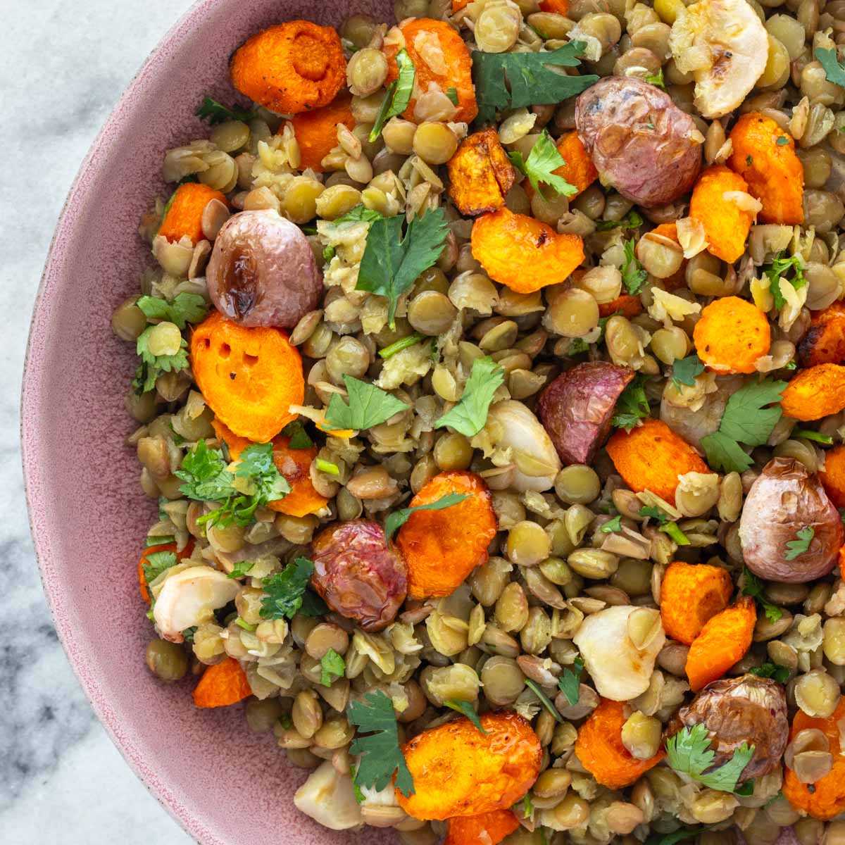 Salada de Lentilha com Cenoura e Rabanete Assados