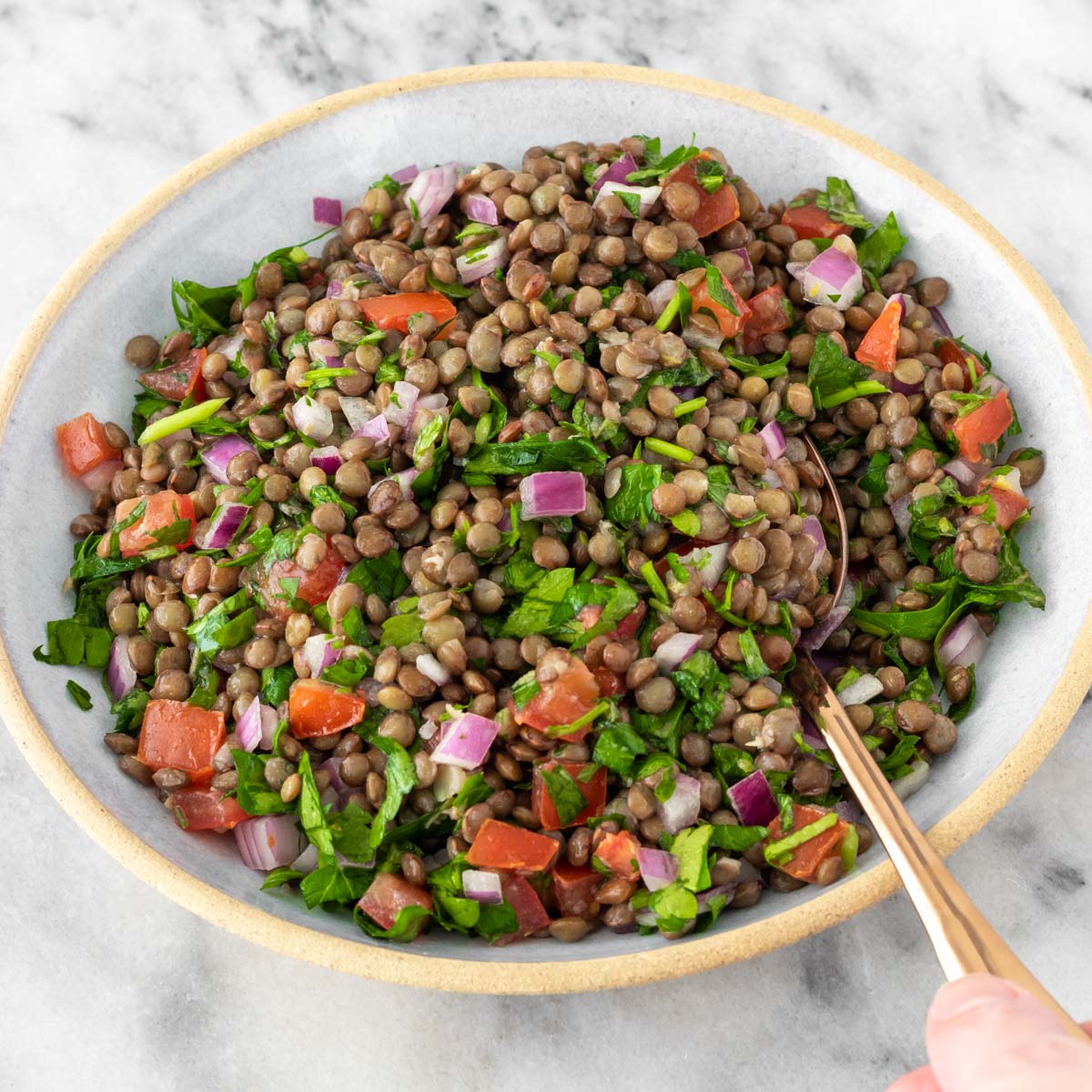 Salada de Lentilha Simples